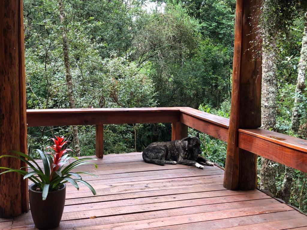 Pousada Chales Da Lua Munhoz Luaran gambar